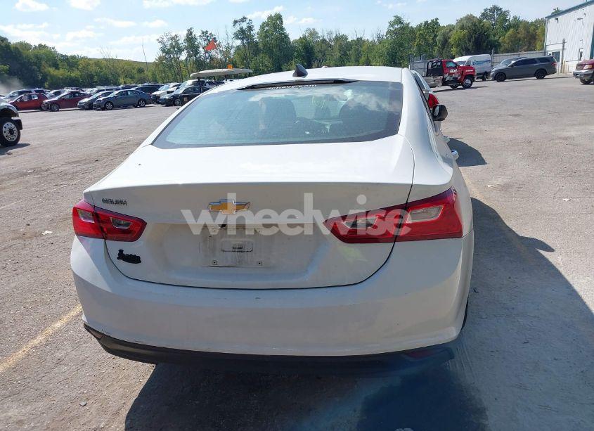 Photo 16 of 2019 Chevrolet Malibu 1LS (VIN 1G1ZB5ST7KF224638)