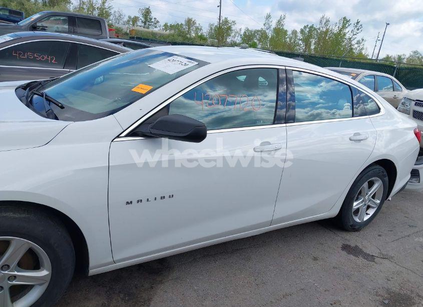 Photo 15 of 2019 Chevrolet Malibu 1LS (VIN 1G1ZB5ST8KF203815)