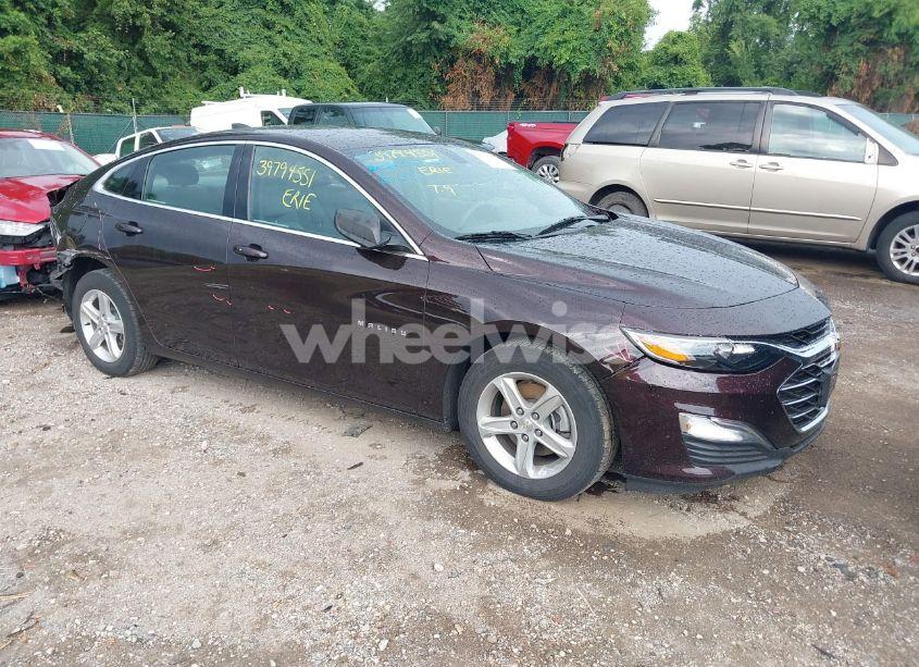 2020 Chevrolet Malibu FWD LS (VIN 1G1ZB5ST9LF073609) main photo