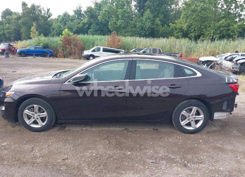 Photo 14 of 2020 Chevrolet Malibu FWD LS (VIN 1G1ZB5ST9LF073609)