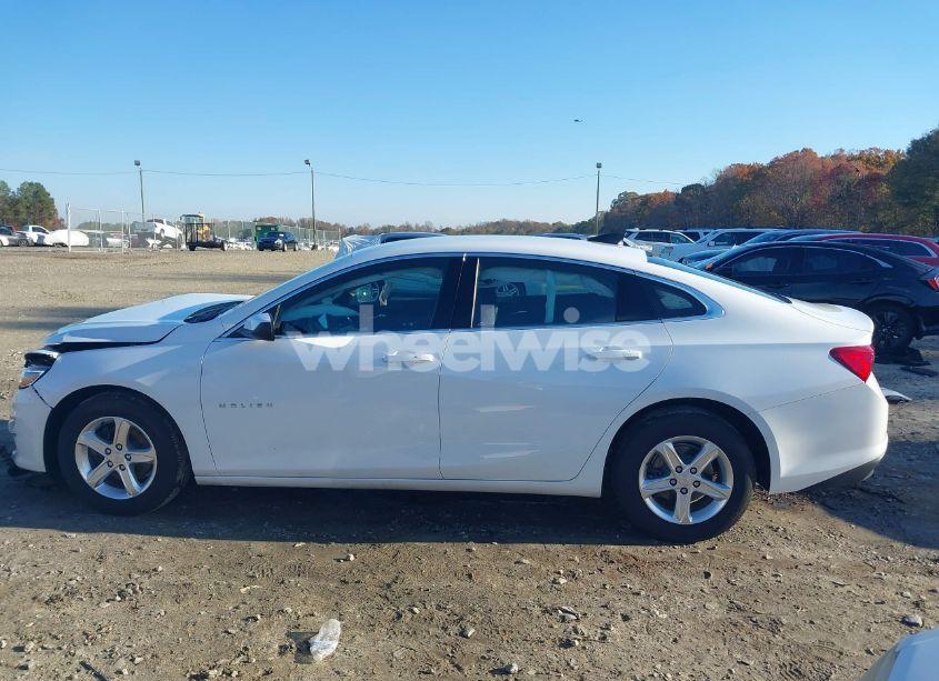 Photo 15 of 2024 Chevrolet Malibu FWD LS (VIN 1G1ZB5ST9RF111042)