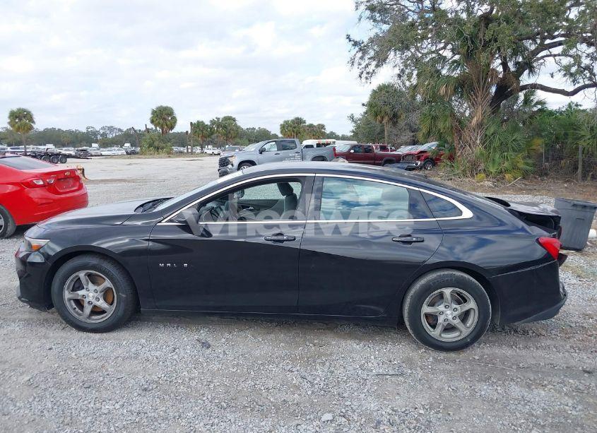 Photo 14 of 2016 Chevrolet Malibu LS (VIN 1G1ZB5STXGF230666)