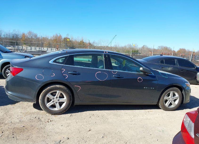 Photo 13 of 2019 Chevrolet Malibu 1LS (VIN 1G1ZB5STXKF145612)
