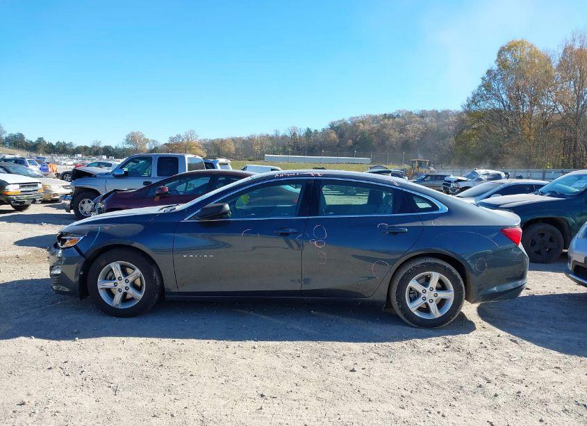 Photo 14 of 2019 Chevrolet Malibu 1LS (VIN 1G1ZB5STXKF145612)