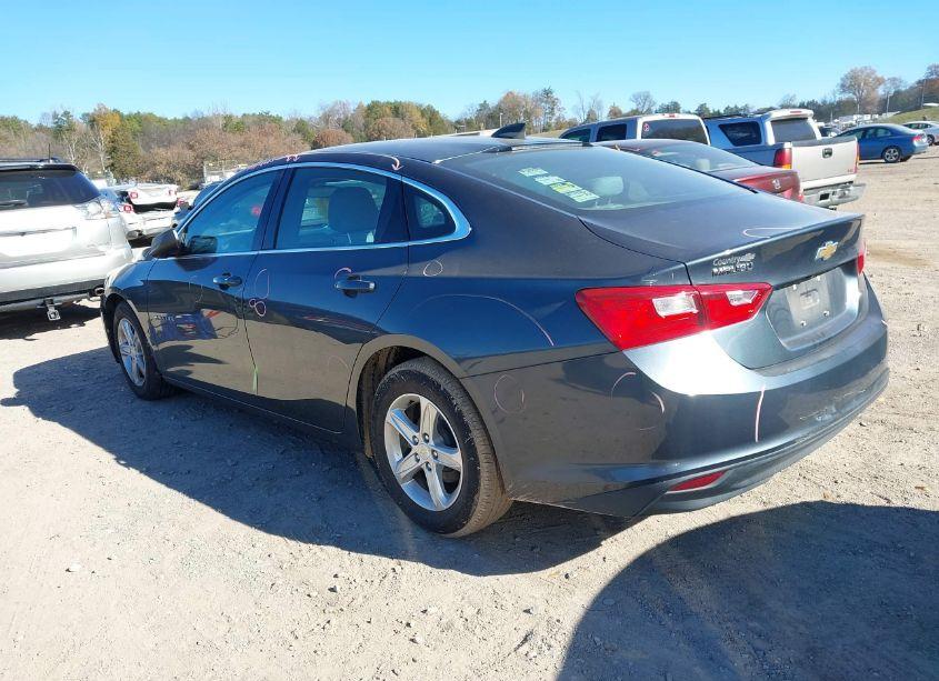 Photo 3 of 2019 Chevrolet Malibu 1LS (VIN 1G1ZB5STXKF145612)