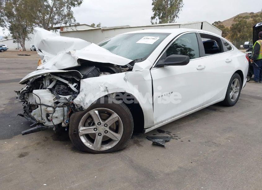 Photo 2 of 2019 Chevrolet Malibu 1LS (VIN 1G1ZB5STXKF220180)