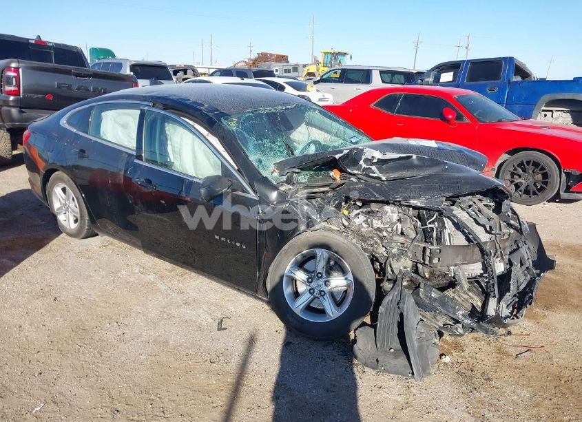 2023 Chevrolet Malibu FWD LS (VIN 1G1ZB5STXPF118577) main photo