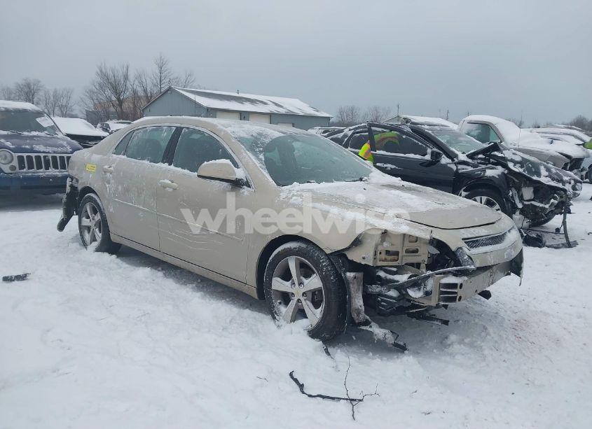 2011 Chevrolet Malibu 1LT (VIN 1G1ZC5E10BF196737) main photo