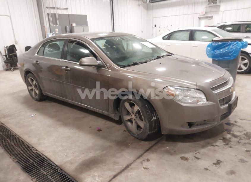 2011 Chevrolet Malibu 1LT (VIN 1G1ZC5E10BF286695) main photo