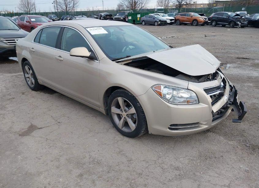 2011 Chevrolet Malibu 1LT (VIN 1G1ZC5E10BF341453) main photo