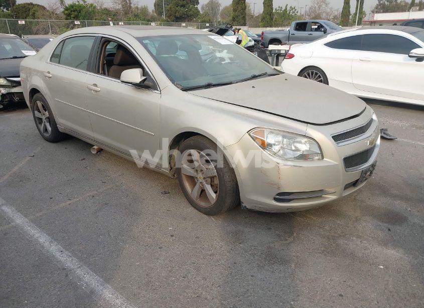 2011 Chevrolet Malibu 1LT (VIN 1G1ZC5E15BF241817) main photo