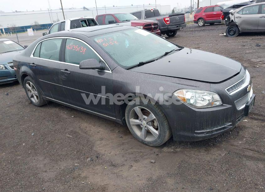 2011 Chevrolet Malibu 1LT (VIN 1G1ZC5E15BF336300) main photo