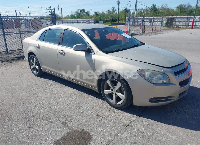 2011 Chevrolet Malibu 1LT (VIN 1G1ZC5E17BF101493) main photo
