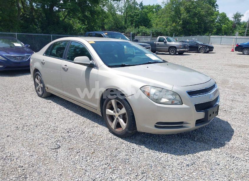 2011 Chevrolet Malibu 1LT (VIN 1G1ZC5E17BF240247) main photo