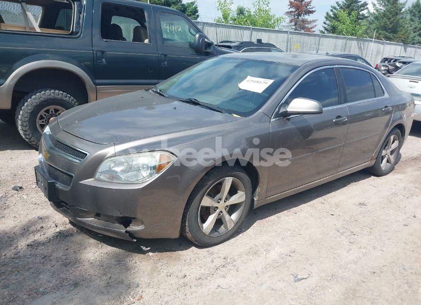 Photo 2 of 2011 Chevrolet Malibu 1LT (VIN 1G1ZC5E17BF298939)