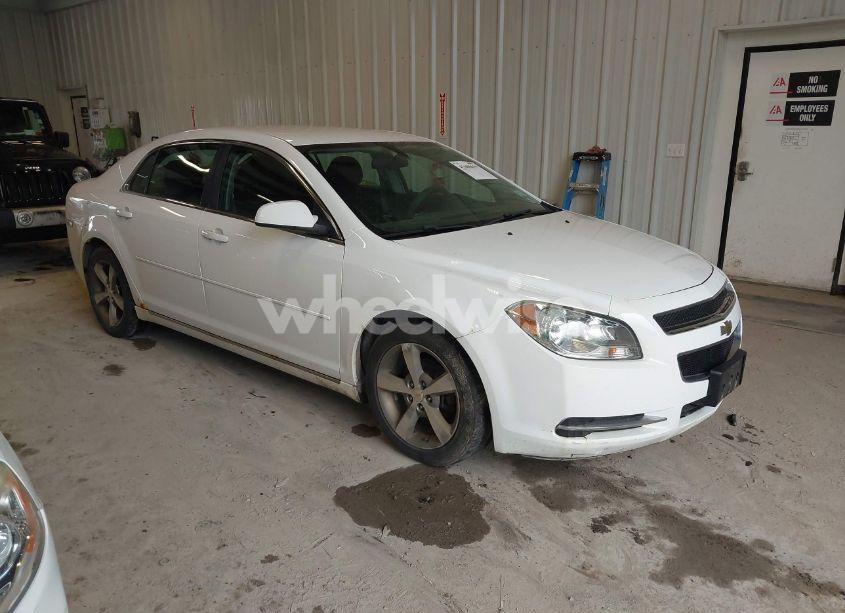 2011 Chevrolet Malibu 1LT (VIN 1G1ZC5E18BF118139) main photo