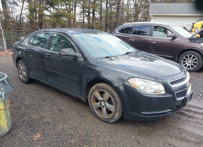 2011 Chevrolet Malibu 1LT (VIN 1G1ZC5E18BF359327) main photo