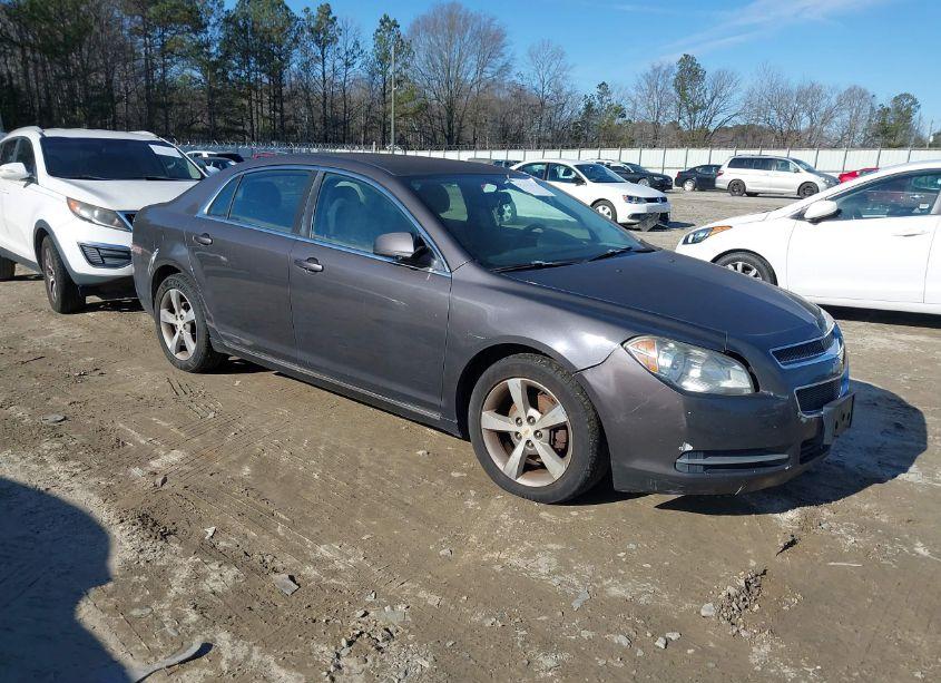 2011 Chevrolet Malibu 1LT (VIN 1G1ZC5E19BF174462) main photo