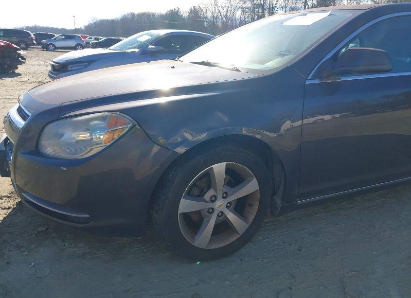 Photo 6 of 2011 Chevrolet Malibu 1LT (VIN 1G1ZC5E19BF174462)
