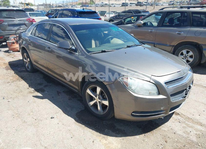 2011 Chevrolet Malibu 1LT (VIN 1G1ZC5E19BF195005) main photo