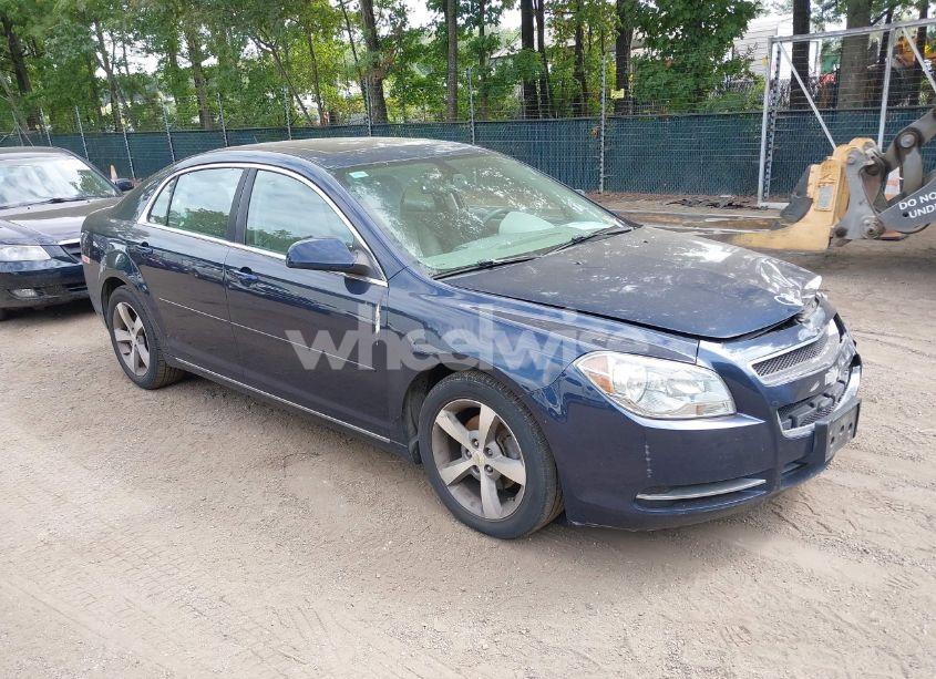 2011 Chevrolet Malibu 1LT (VIN 1G1ZC5E19BF339779) main photo