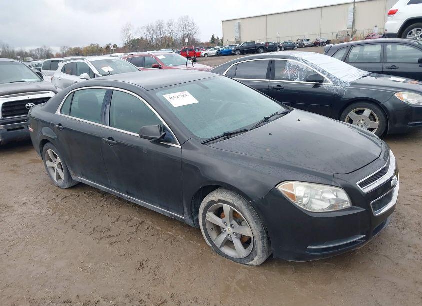 2011 Chevrolet Malibu 1LT (VIN 1G1ZC5E1XBF294559) main photo