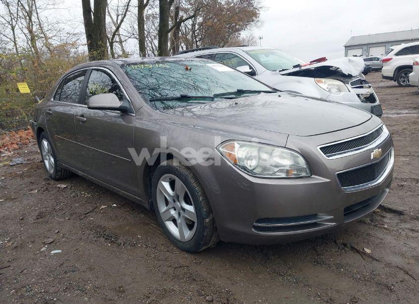 2010 Chevrolet Malibu LT (VIN 1G1ZC5EB0AF140949) main photo