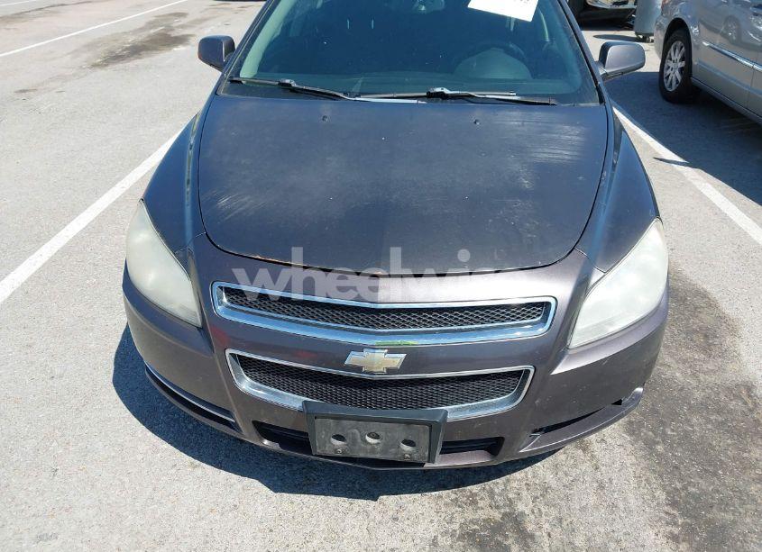 Photo 12 of 2010 Chevrolet Malibu LT (VIN 1G1ZC5EB2AF240373)