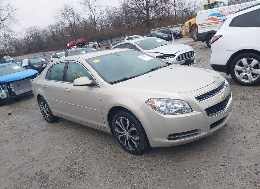 2010 Chevrolet Malibu LT (VIN 1G1ZC5EB5AF102441) main photo