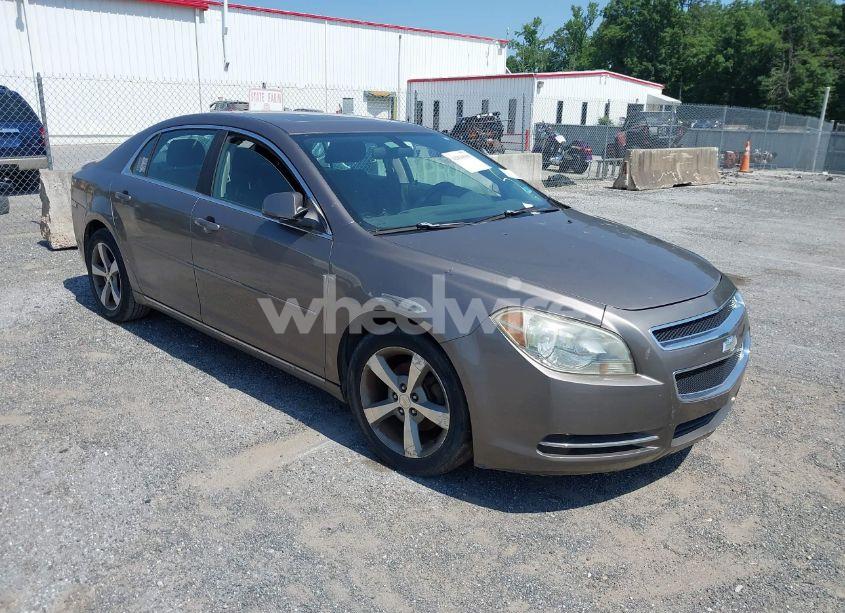 2011 Chevrolet Malibu 1LT (VIN 1G1ZC5EU6BF295105) main photo