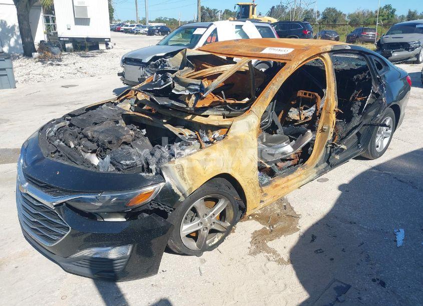 Photo 2 of 2019 Chevrolet Malibu 1FL (VIN 1G1ZC5ST2KF194669)
