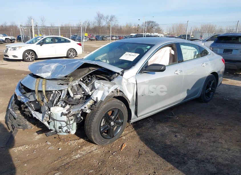 Photo 2 of 2019 Chevrolet Malibu 1FL (VIN 1G1ZC5ST2KF222177)