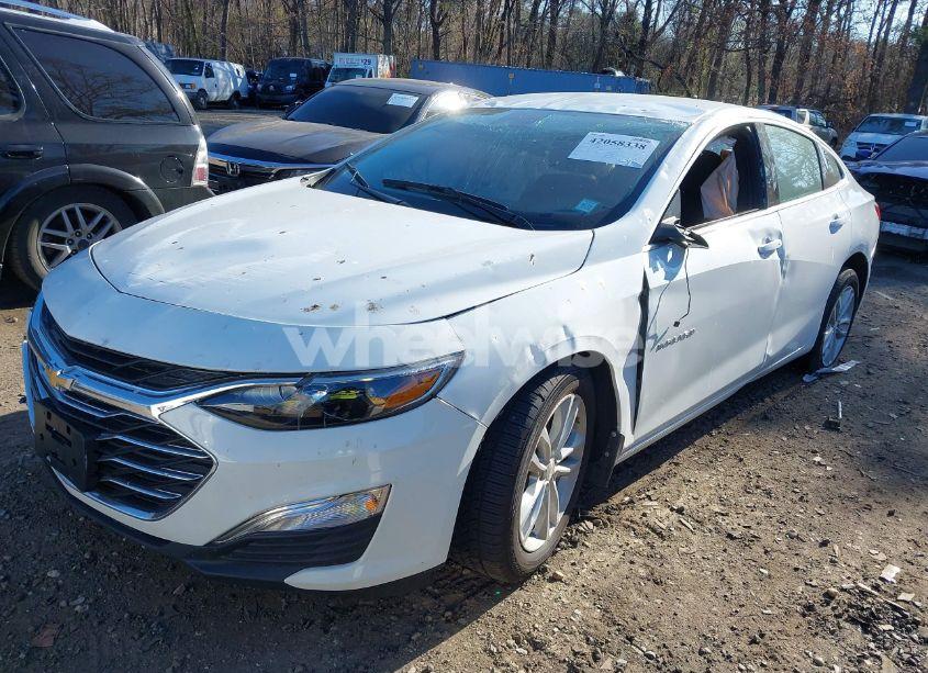 Photo 2 of 2023 Chevrolet Malibu FWD 1FL (VIN 1G1ZC5ST2PF189687)