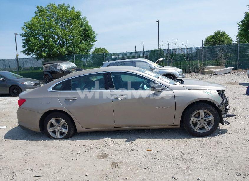 Photo 12 of 2024 Chevrolet Malibu FWD 1FL (VIN 1G1ZC5ST2RF232265)