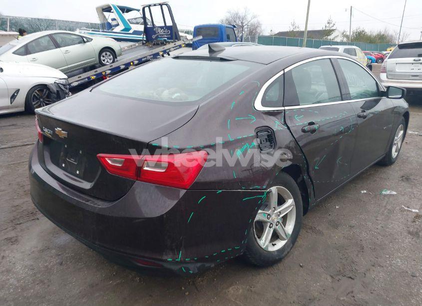 Photo 4 of 2020 Chevrolet Malibu FWD 1FL (VIN 1G1ZC5ST3LF116242)