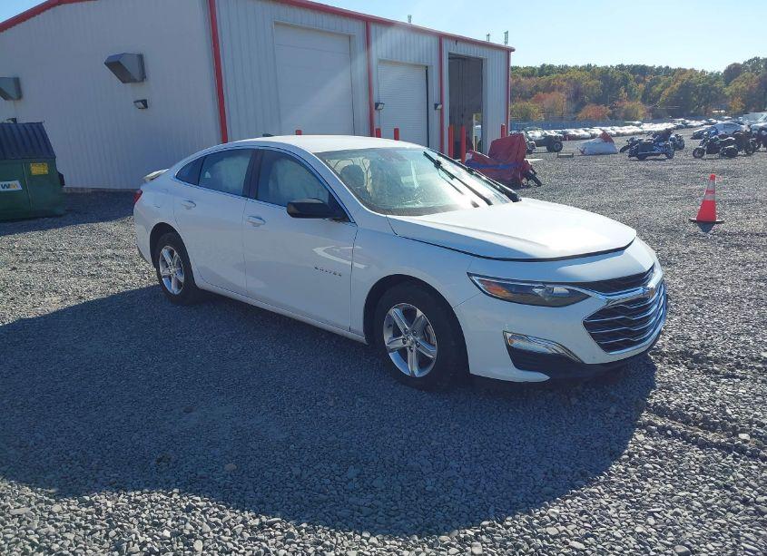 2023 Chevrolet Malibu FWD 1FL (VIN 1G1ZC5ST3PF124539) main photo