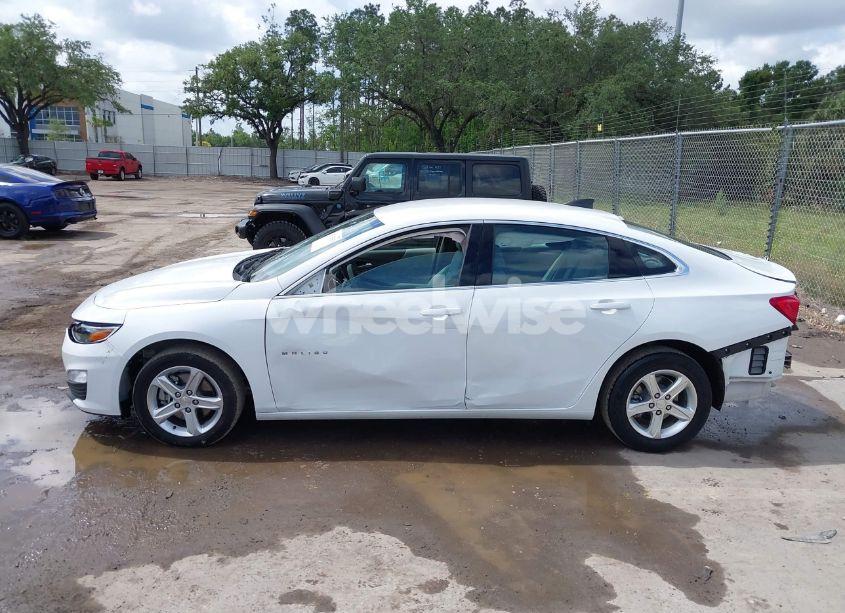 Photo 14 of 2024 Chevrolet Malibu FWD 1FL (VIN 1G1ZC5ST3RF226197)