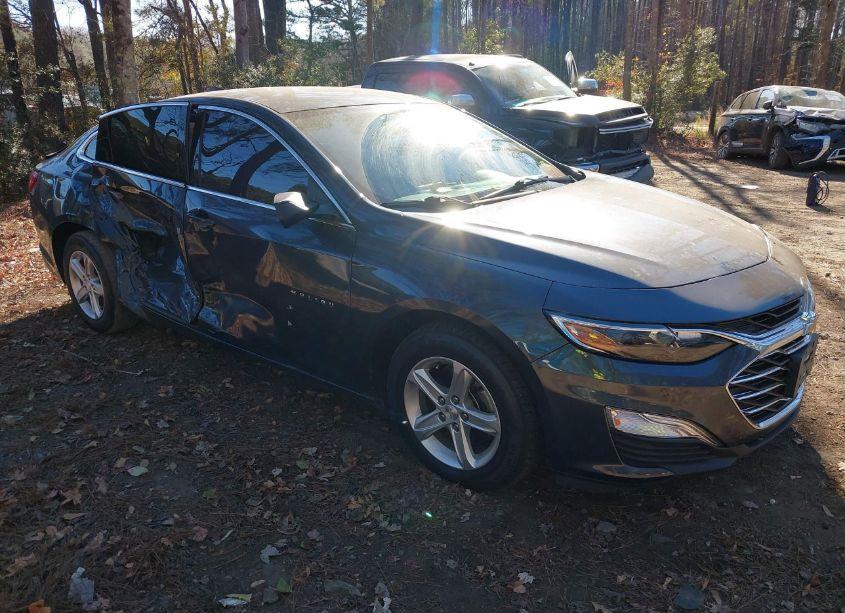 2019 Chevrolet Malibu 1FL (VIN 1G1ZC5ST4KF121979) main photo