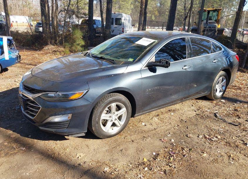 Photo 2 of 2019 Chevrolet Malibu 1FL (VIN 1G1ZC5ST4KF121979)