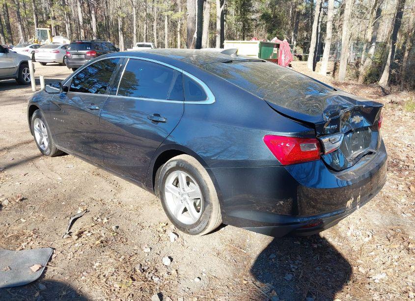 Photo 3 of 2019 Chevrolet Malibu 1FL (VIN 1G1ZC5ST4KF121979)