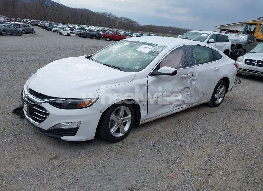 Photo 2 of 2021 Chevrolet Malibu FWD 1FL (VIN 1G1ZC5ST4MF087738)