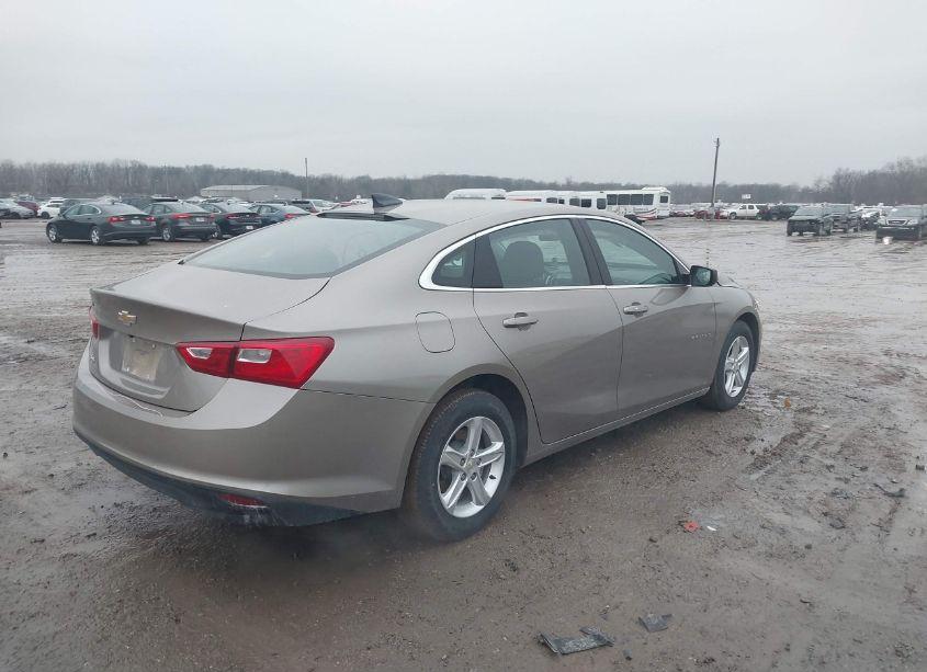 Photo 4 of 2023 Chevrolet Malibu FWD 1FL (VIN 1G1ZC5ST4PF118099)
