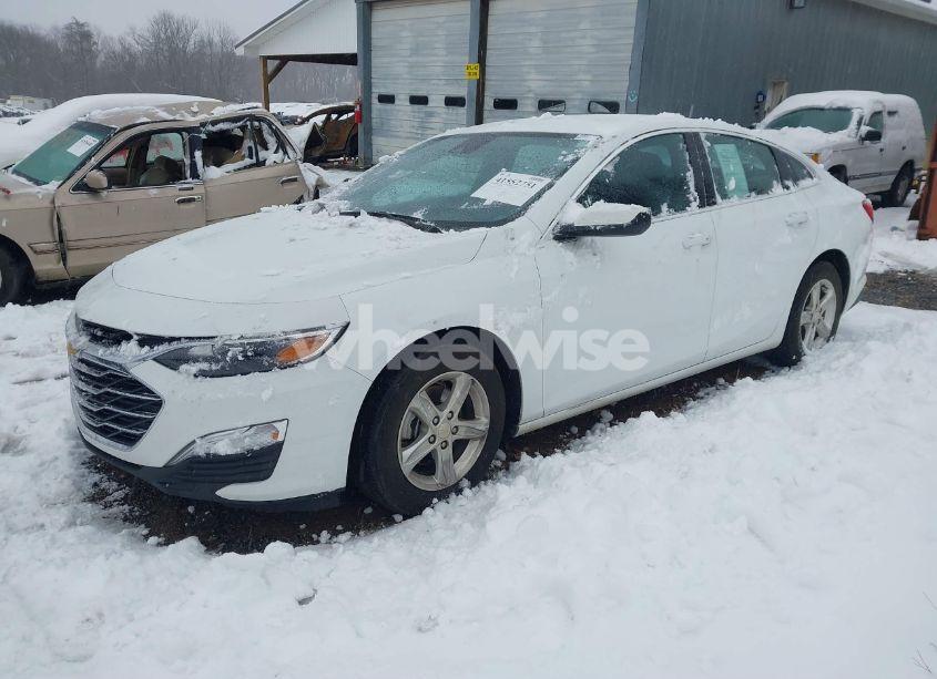 Photo 2 of 2023 Chevrolet Malibu FWD 1FL (VIN 1G1ZC5ST4PF155377)