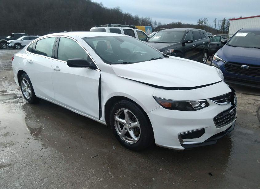 2018 Chevrolet Malibu 1FL (VIN 1G1ZC5ST5JF196124) main photo