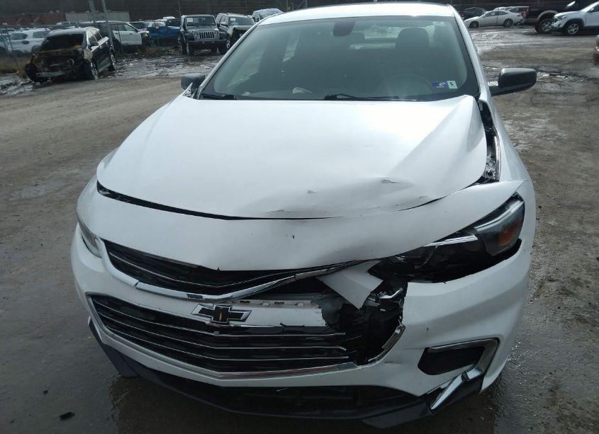 Photo 12 of 2018 Chevrolet Malibu 1FL (VIN 1G1ZC5ST5JF196124)