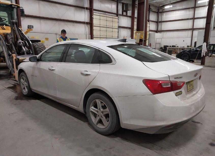 Photo 3 of 2020 Chevrolet Malibu FWD 1FL (VIN 1G1ZC5ST5LF145483)