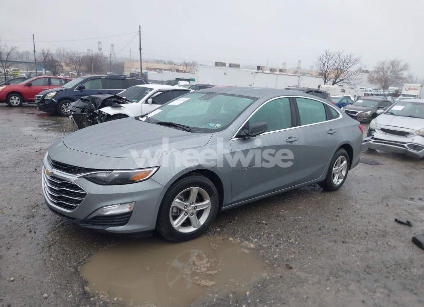 Photo 2 of 2024 Chevrolet Malibu FWD 1FL (VIN 1G1ZC5ST5RF231921)