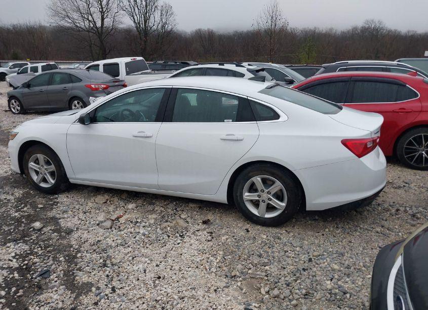 Photo 14 of 2023 Chevrolet Malibu FWD 1FL (VIN 1G1ZC5ST6PF247462)