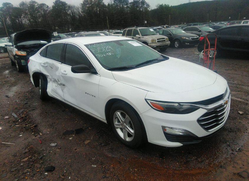 2019 Chevrolet Malibu 1FL (VIN 1G1ZC5ST7KF213474) main photo