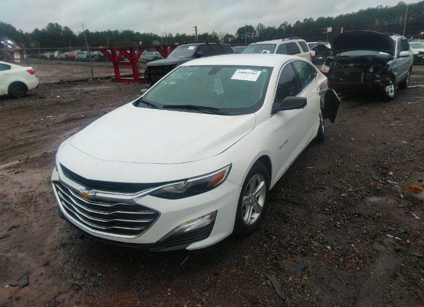 Photo 2 of 2019 Chevrolet Malibu 1FL (VIN 1G1ZC5ST7KF213474)